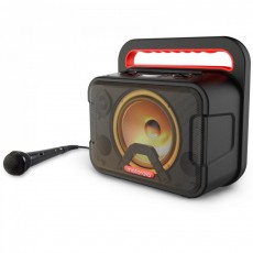 Φορητό Ηχείο Wireless Motorola Rokr 810 Karaoke Black IPX4  V5.0 40W
