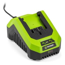 The Li-Ion battery  Fieldmann FDUZ 79100